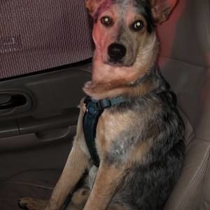 Meet your Posher, Hilda